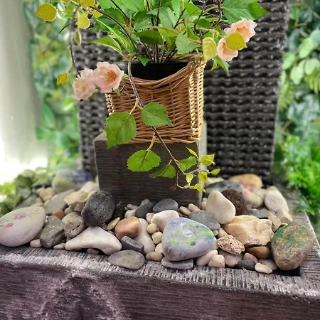 Coqueto En El Centro De Daire *