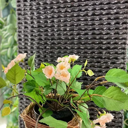 Coqueto En El Centro De *