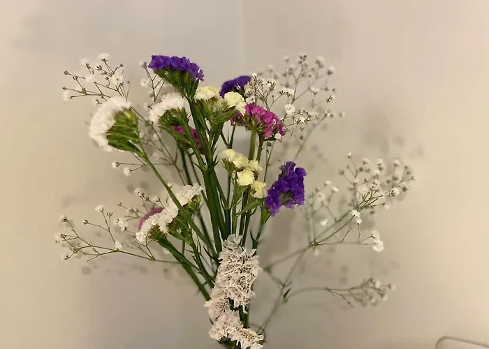 Coqueto En El Centro De