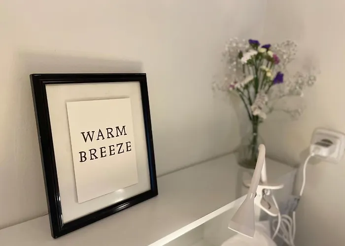 Coqueto En El Centro De