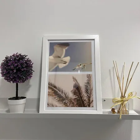 Coqueto En El Centro De סנטנדר