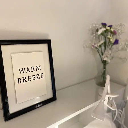 Coqueto En El Centro De