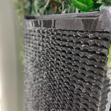 Coqueto En El Centro De סנטנדר