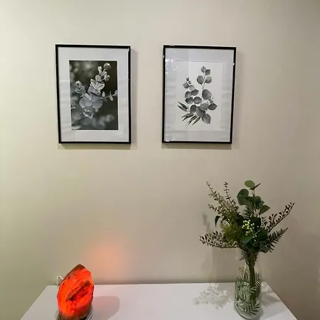 Coqueto En El Centro De *