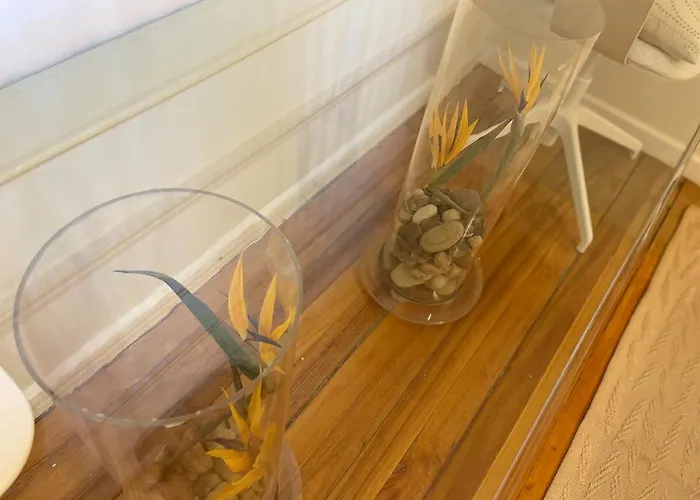 Coqueto En El Centro De