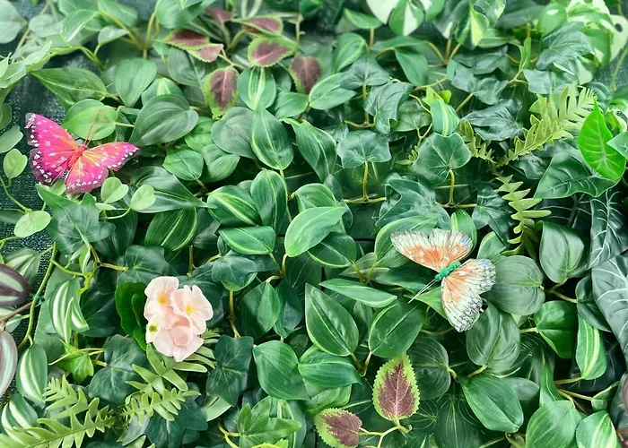 Coqueto En El Centro De Santander