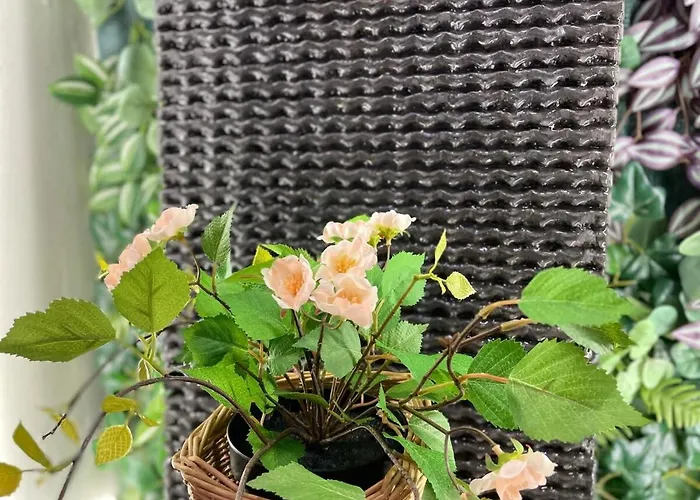 Coqueto En El Centro De *